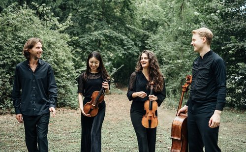 Italijanske resonance