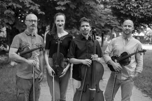 Pejsaži šestnajstih strun