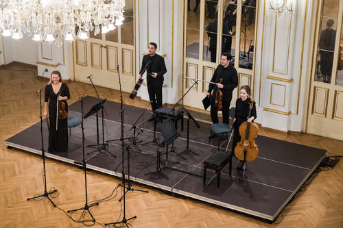 Sinergija strun / Foto: Urška Lukovnjak Mustafa