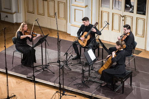 Sinergija strun / Foto: Urška Lukovnjak Mustafa