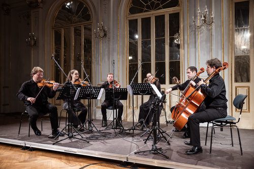 Odmevi elegance / Foto: Urška Lukovnjak Mustafa