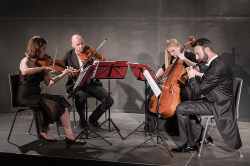 Kvartet Tamino: Projekt Don Giovanni / Foto: Urška Lukovnjak