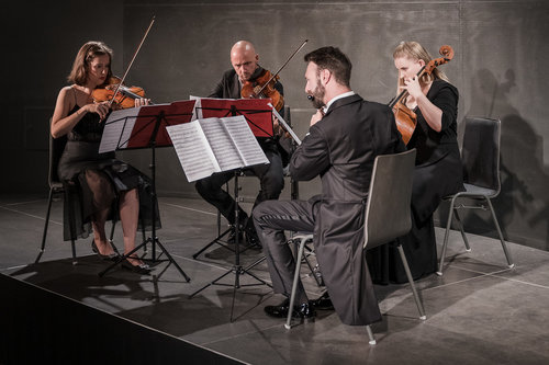 Kvartet Tamino: Projekt Don Giovanni / Foto: Urška Lukovnjak