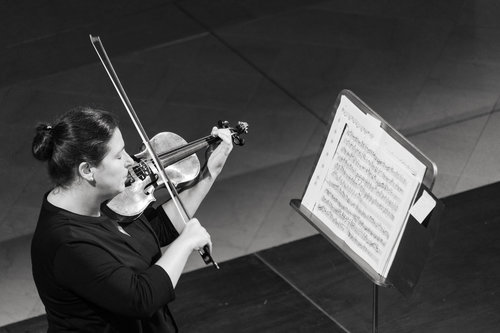 Božena Angelova, violina / Foto: Urška Lukovnjak