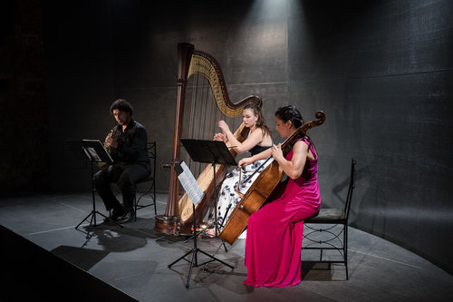 Lara Hrastnik, harfa, Vita Peterlin, violončelo, Klever Felicio, rog / Foto: Urška Lukovnjak