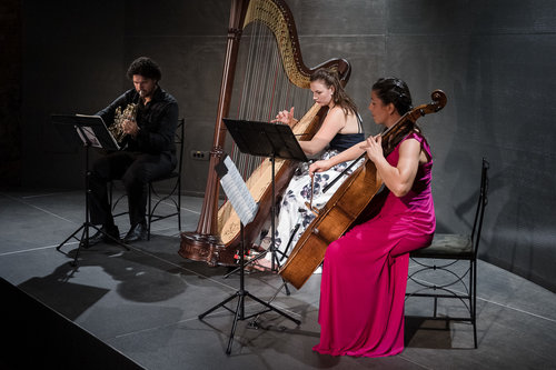 Lara Hrastnik, harfa, Vita Peterlin, violončelo, Klever Felicio, rog / Foto: Urška Lukovnjak