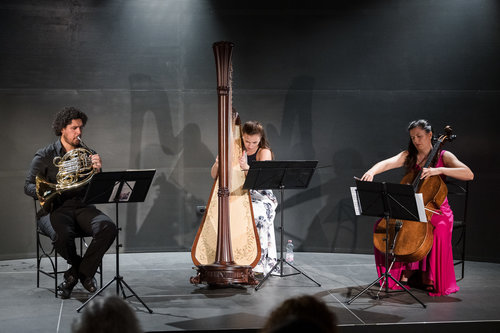 Lara Hrastnik, harfa, Vita Peterlin, violončelo, Klever Felicio, rog / Foto: Urška Lukovnjak