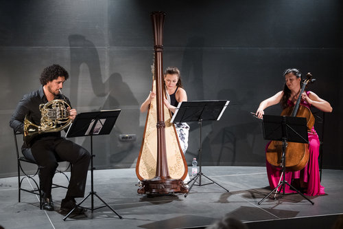 Lara Hrastnik, harfa, Vita Peterlin, violončelo, Klever Felicio, rog / Foto: Urška Lukovnjak