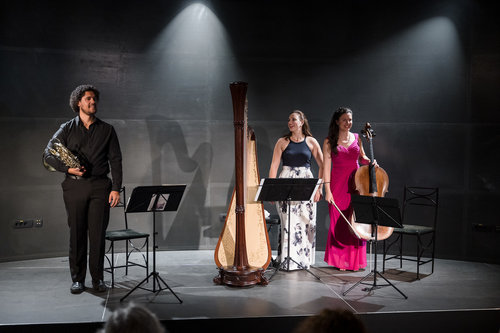 Lara Hrastnik, harfa, Vita Peterlin, violončelo, Klever Felicio, rog / Foto: Urška Lukovnjak