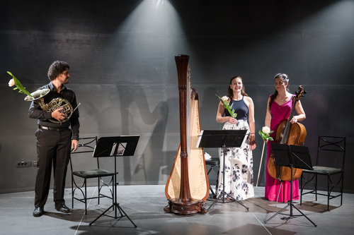 Lara Hrastnik, harfa, Vita Peterlin, violončelo, Klever Felicio, rog / Foto: Urška Lukovnjak